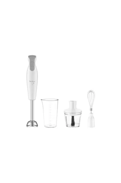 Moulinex Daily Chef Hand Blender