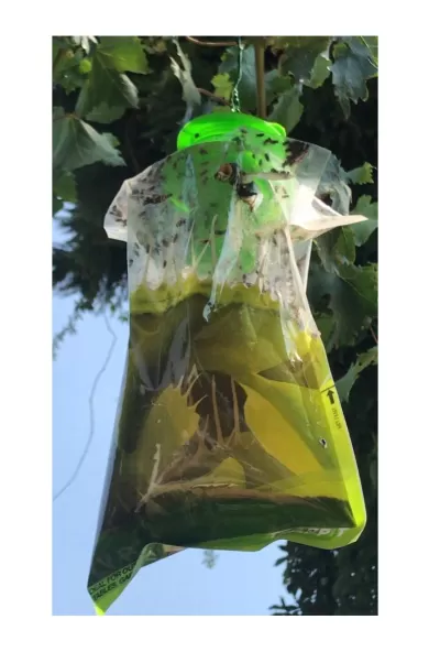 Agrisense Fly Bag For Outdoor