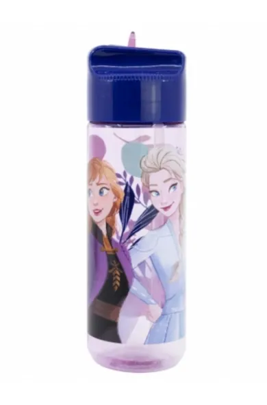 Disney Large Ecozen Hydro Bottle 540ml - Frozen Trust The Journey