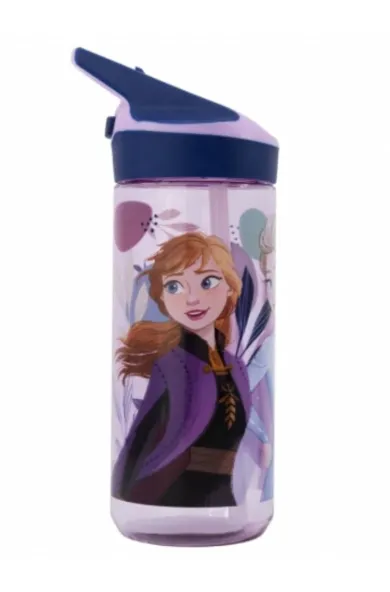 Disney Medium Ecozen Premium Bottle 620ml - Frozen Trust The Journey