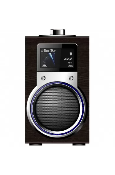 Speaker Portable HI-FI With Remote