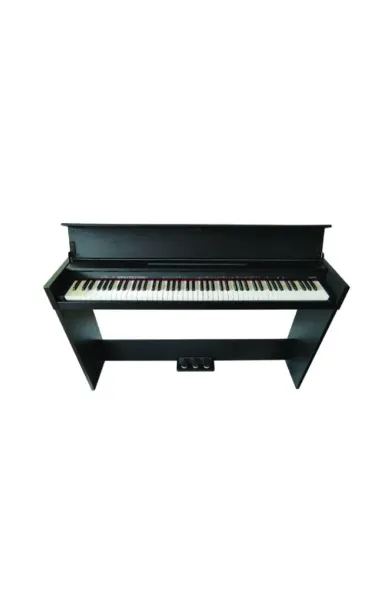 Ara Digital Keyboard Piano Portable 88 Key with Touch Response and Three Pedals 
