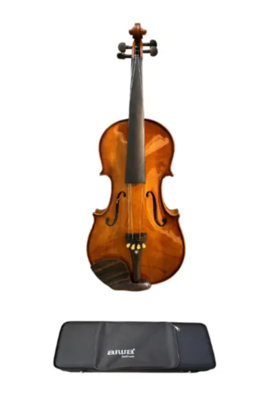 AIWA Violin 4/4 – AWV81