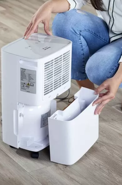 Taurus Pleasant Dehumidifier