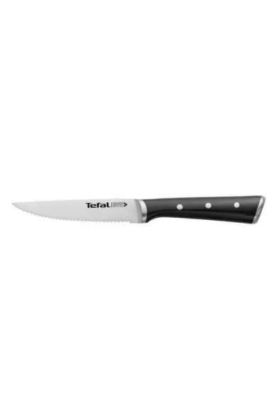 Tefal Ice Fore-Set of 4 Steak Knives
