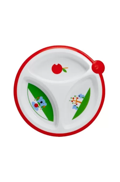 Dr. Brown's Divided Plates