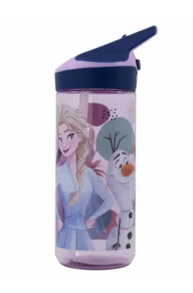 Disney Medium Ecozen Premium Bottle 620ml - Frozen Trust The Journey