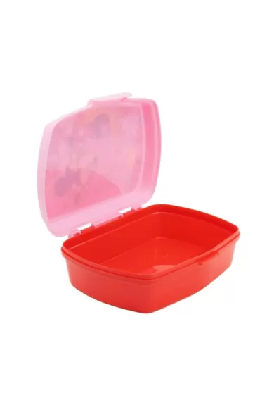 Disney Funny Sandwich Box - Minnie Mouse Spring Look