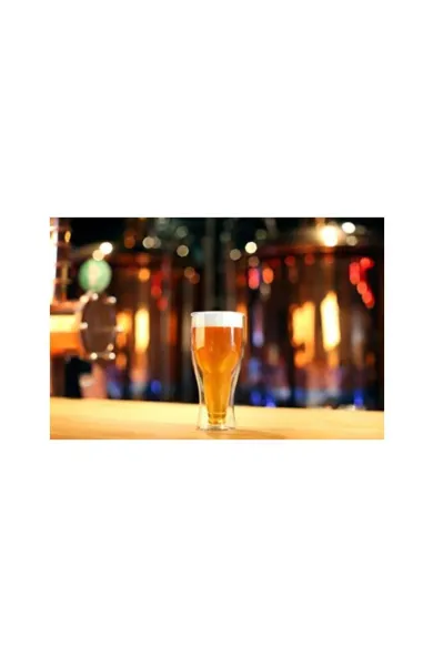 Vialli Double Wall Beer Glass - 350ml