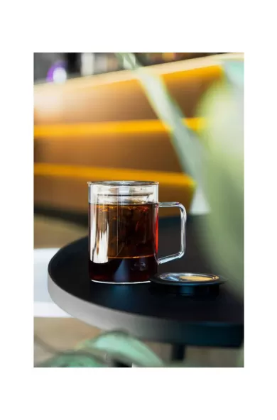 Vialli DOUBLE WALL GLASS WITH GLASS INFUSER - 300ML 