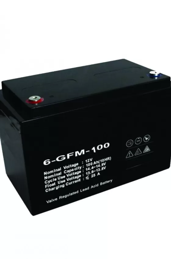 Battery Lead Acid 12V 100Ah Rechargeable