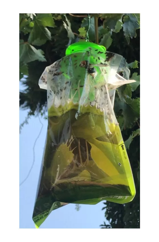 Agrisense Fly Bag For Outdoor