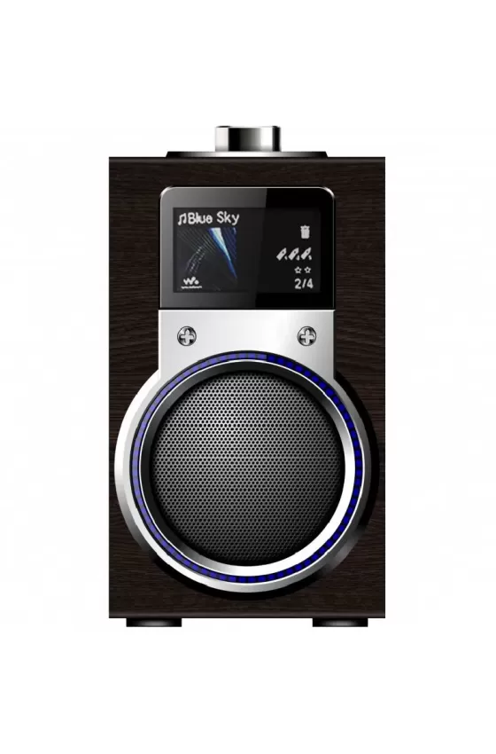 Speaker Portable HI-FI With Remote